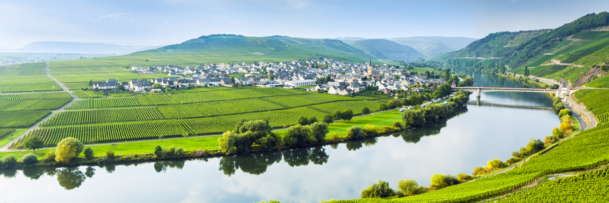 Deutschland BMSwfkyx Weine